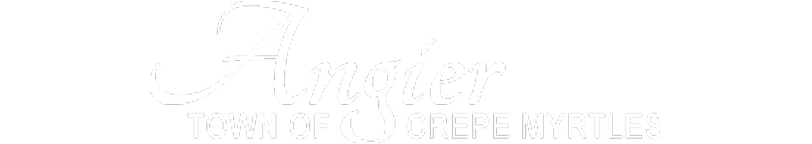 Town of Angier